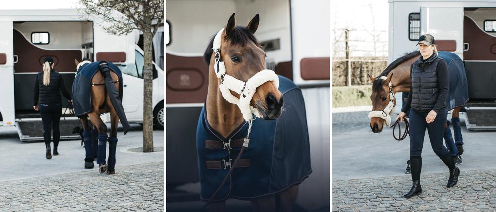 Transport essentials